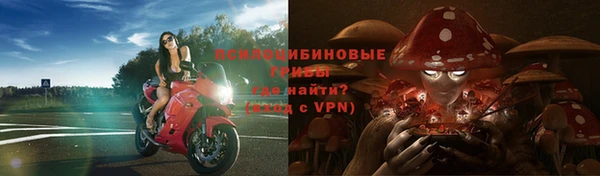 мяу мяу кристалл Бородино